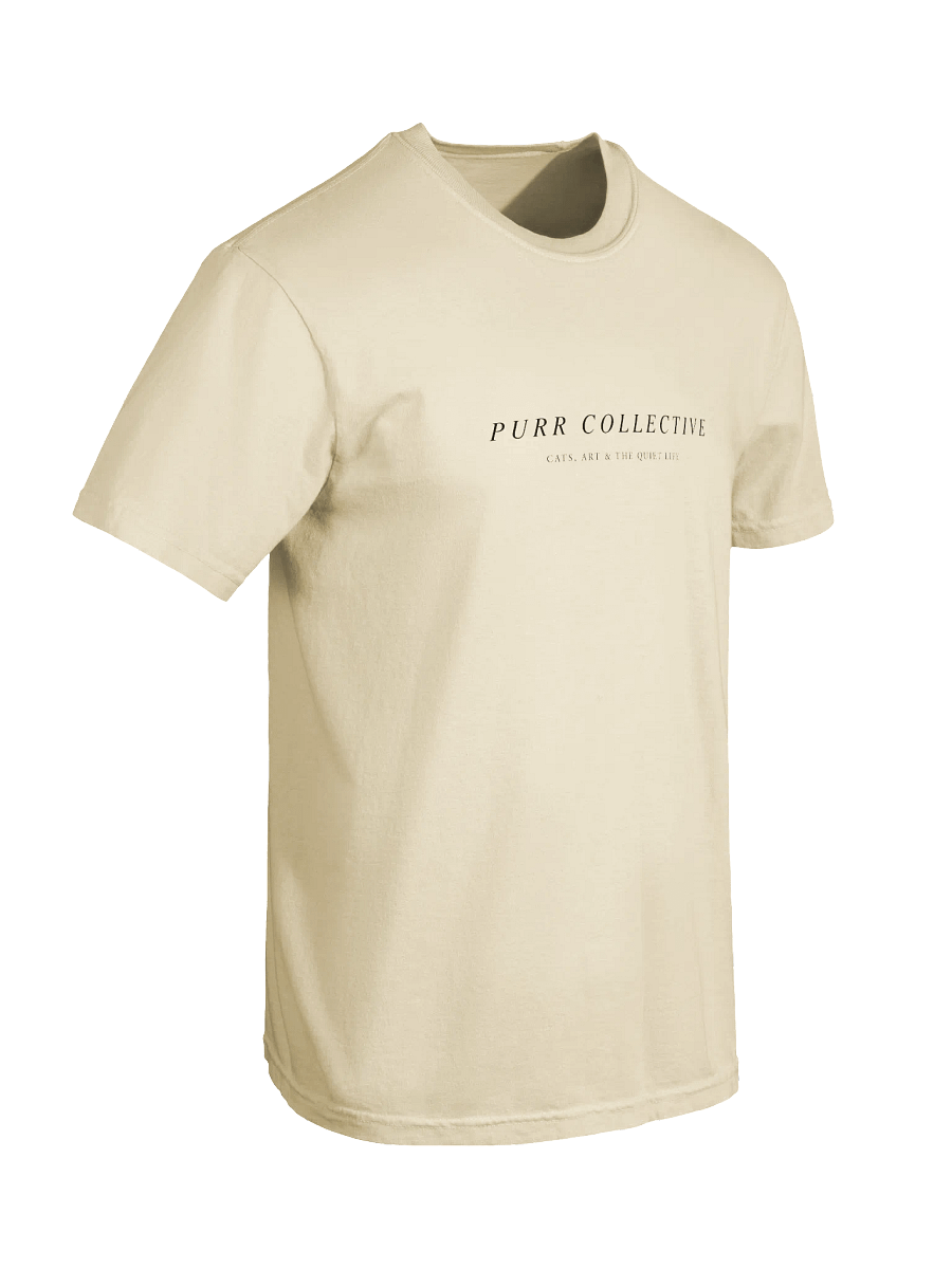 Purr Collective – Relaxed Fit Heavyweight Unisex Cotton T-Shirt product image (3)