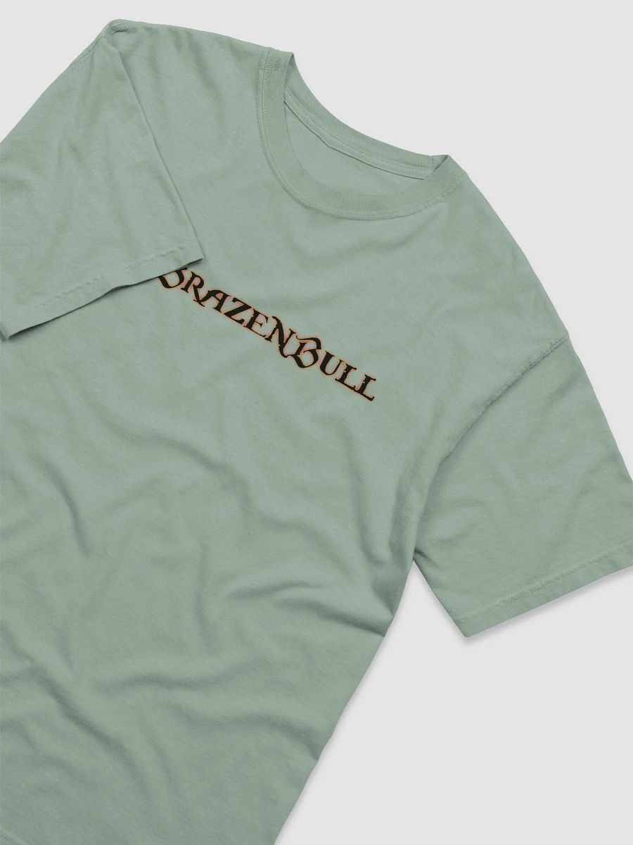 SIRBRAZENBULL TEE product image (32)