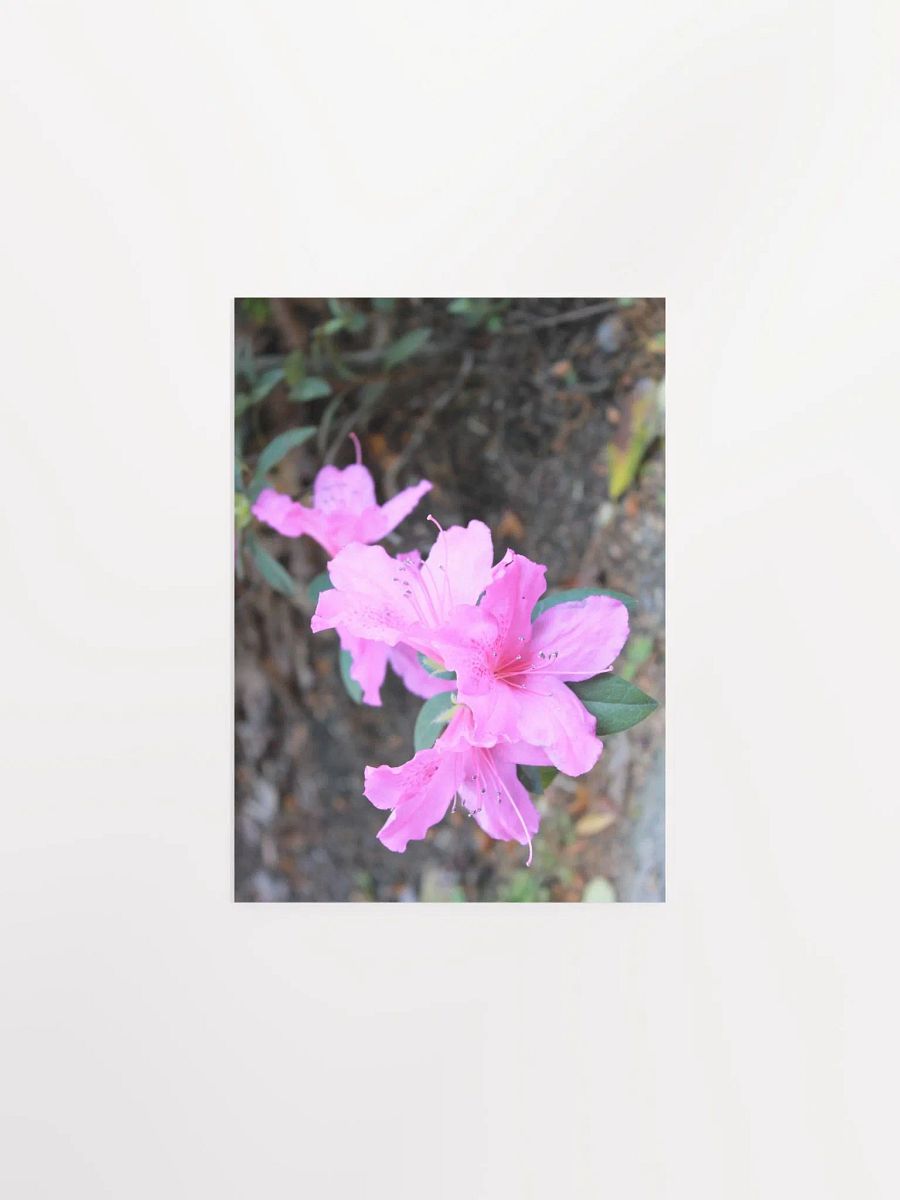 A Study in Flowers 1 product image (4)