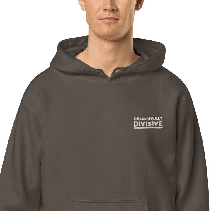 DELIGHTFULLY DIVISIVE (L.C., white design) embroidered pigment hoodie product image (13)