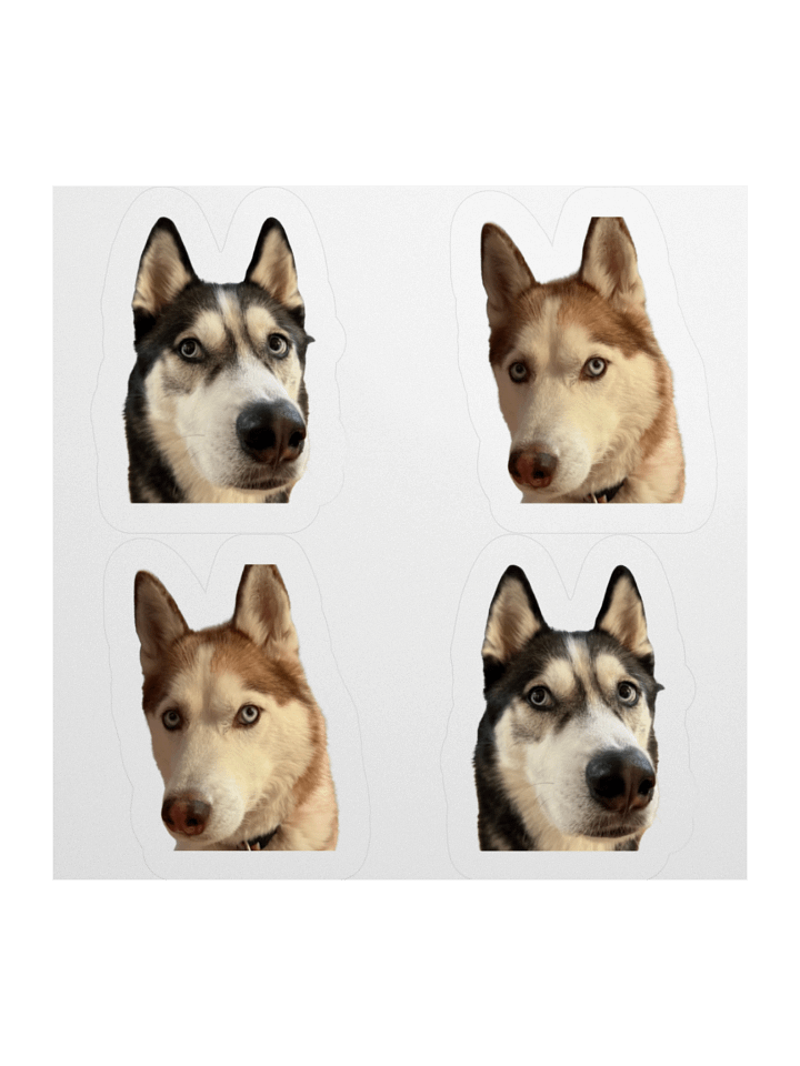 The Huskies Stickers product image (2)