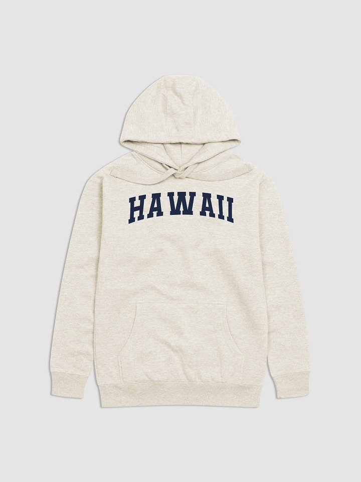 Hawaii Vintage Stylish Unisex Premium Hoodie product image (1)