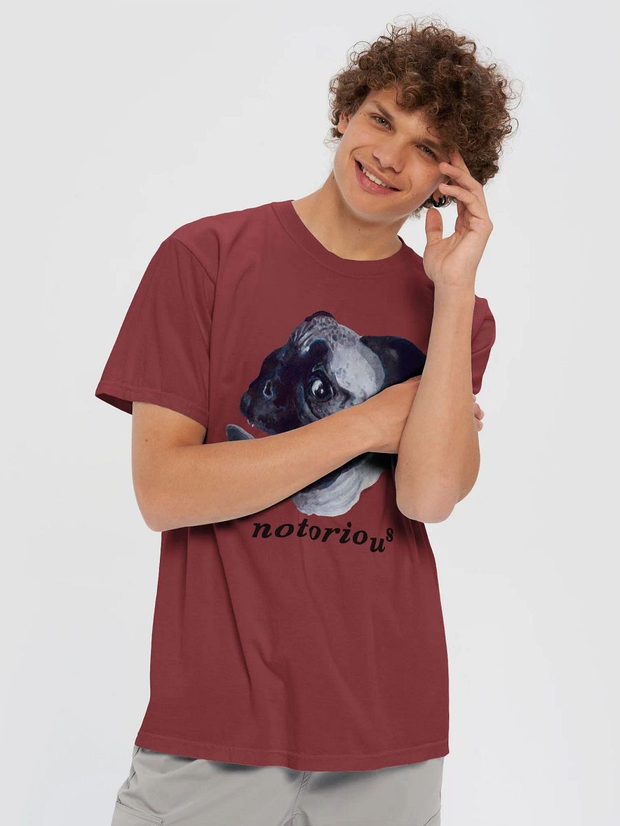 Notorious product image (5)
