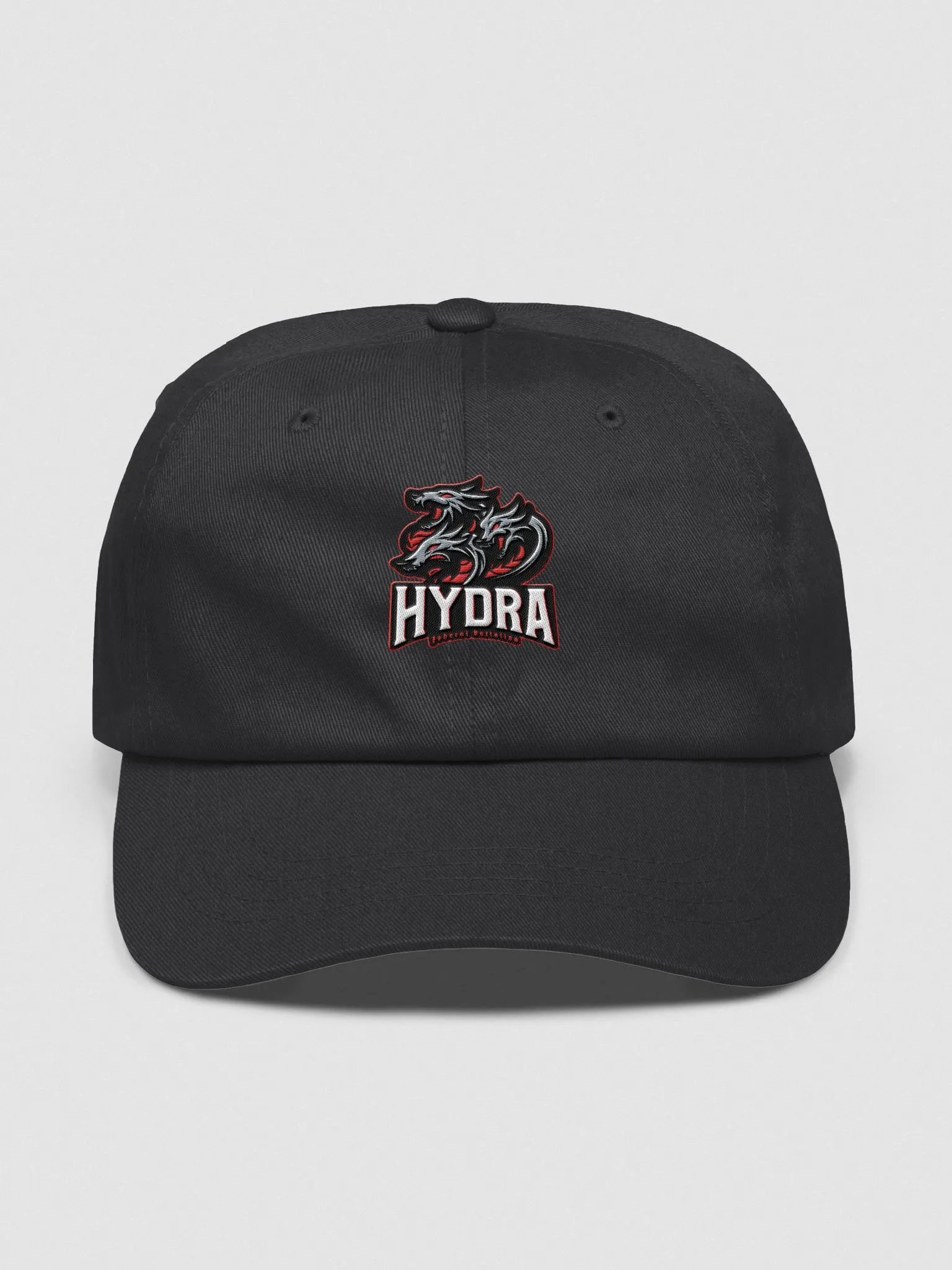 FHB Yupoong Classic Dad Hat product image (1)