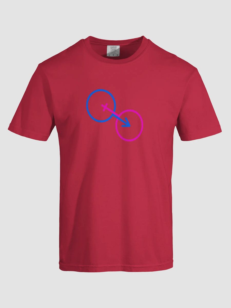 Traditional Gender Unity Unisex T-Shirt product image (5)
