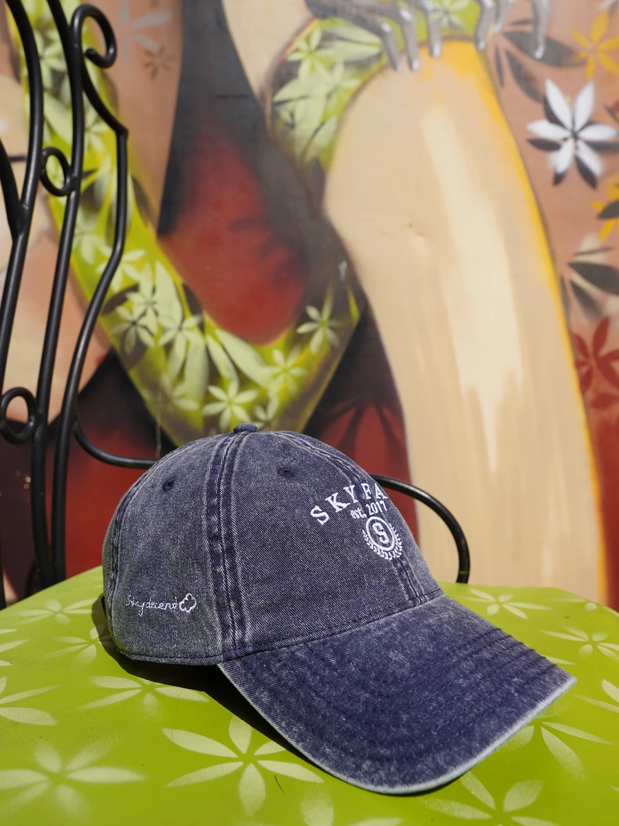 Signature ItsSky hat product image (8)