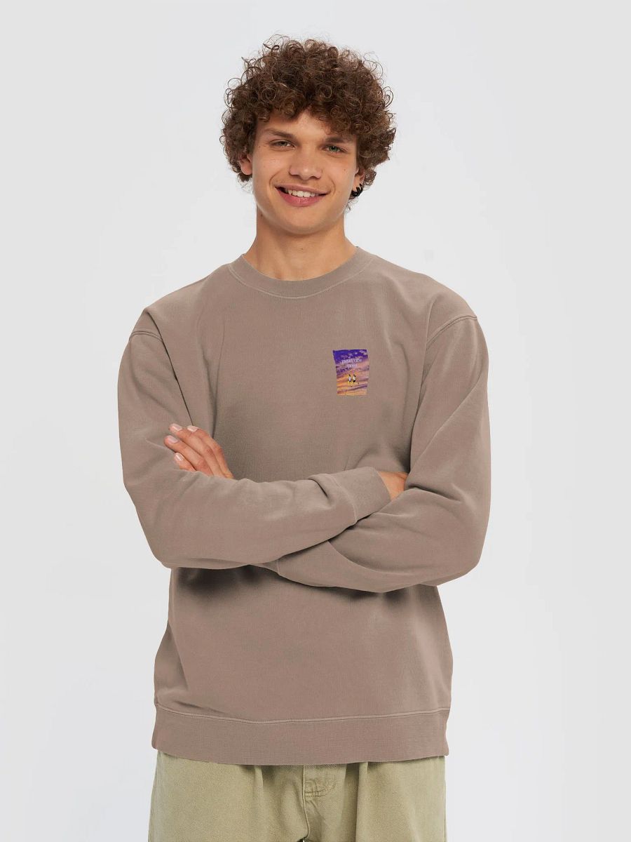 pierist view point product image (3)