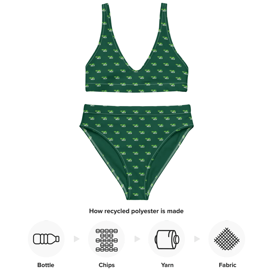 MSLA Green High Waisted Bikini product image (5)