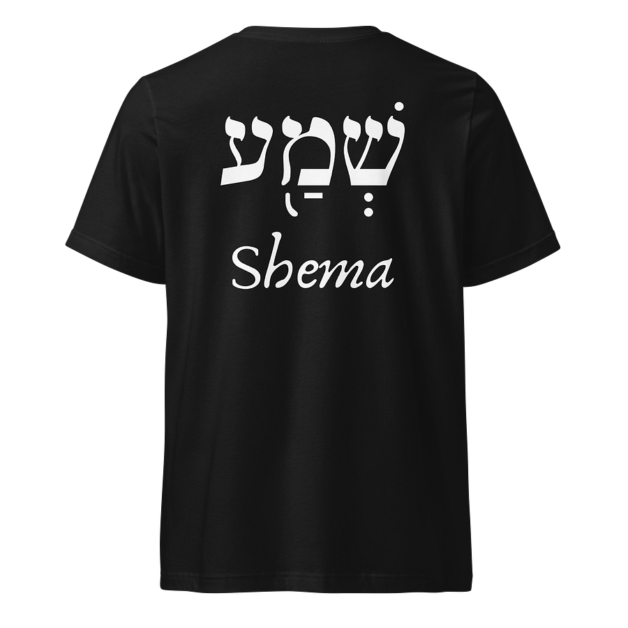 The Great Shema V-Neck Tee product image (3)