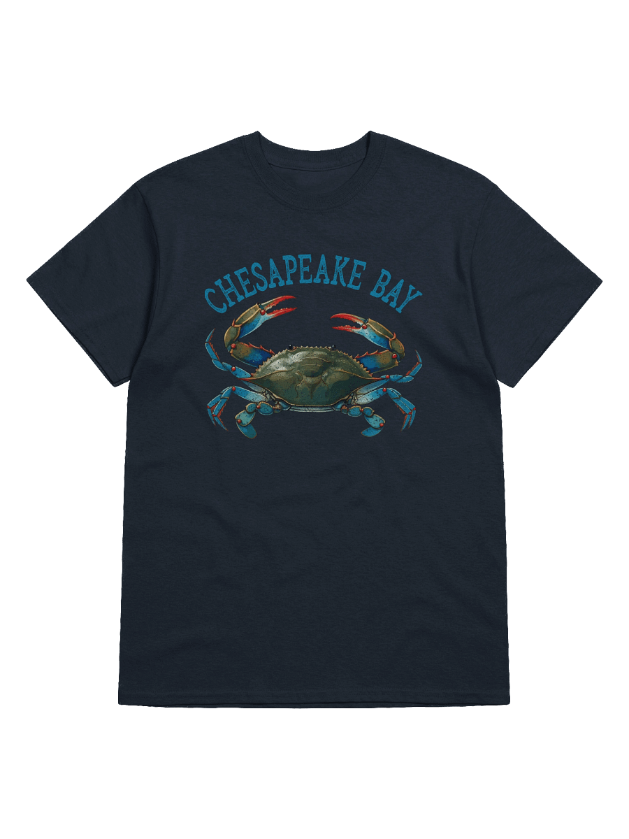 Chesapeake Bay Vintage Tee product image (6)