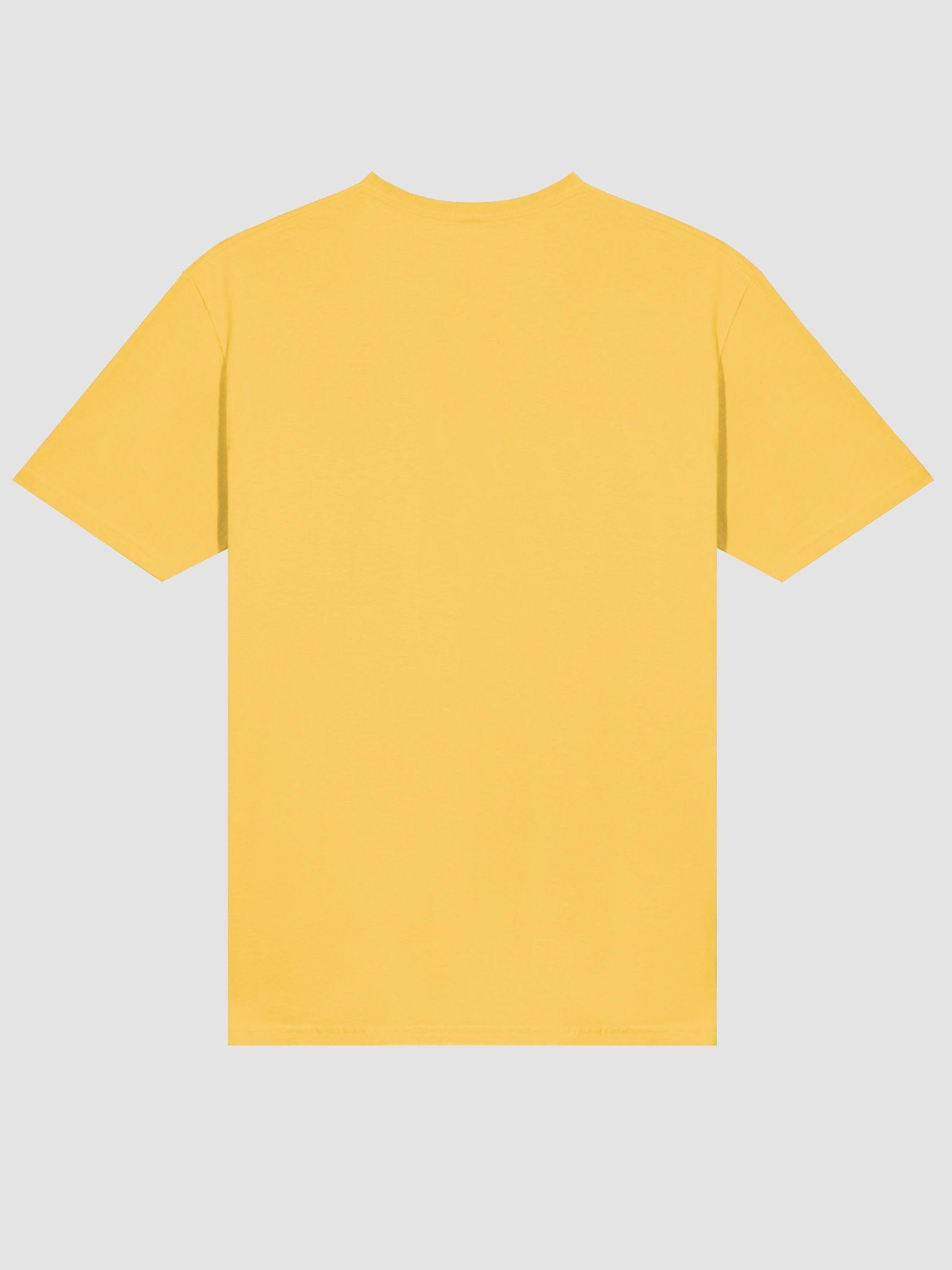 Spartan Legacy Men's Tee product image (4)