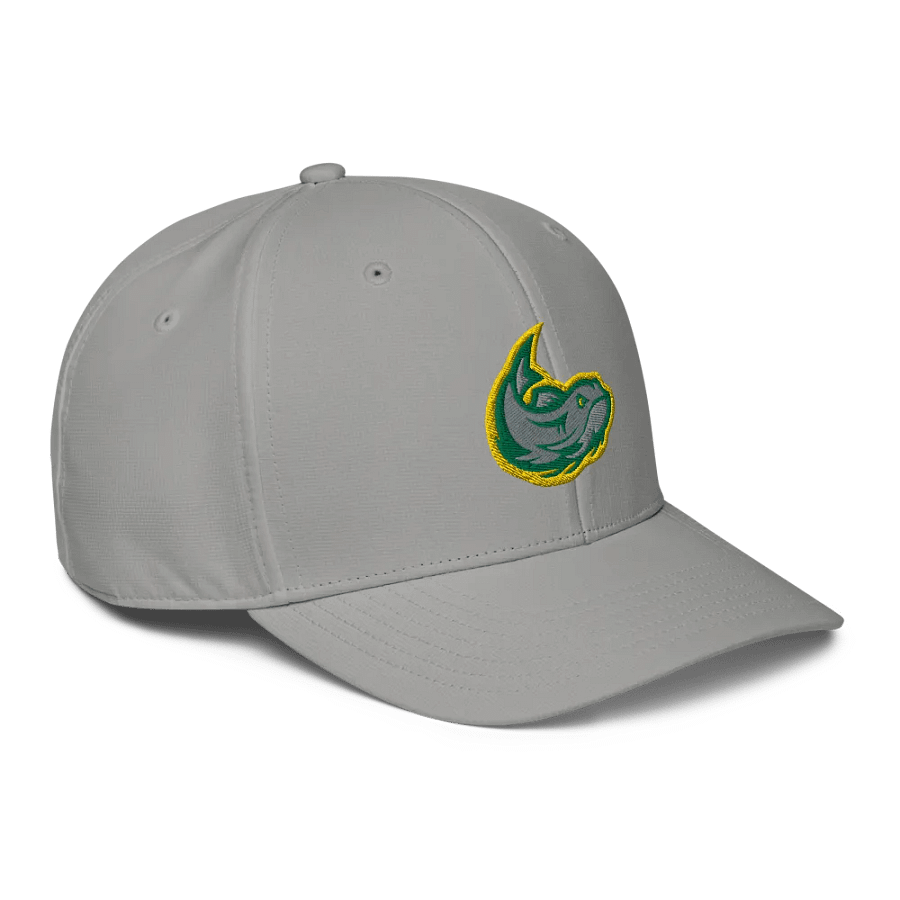 Mississippi Mudcats Adidas Performance Hat product image (22)