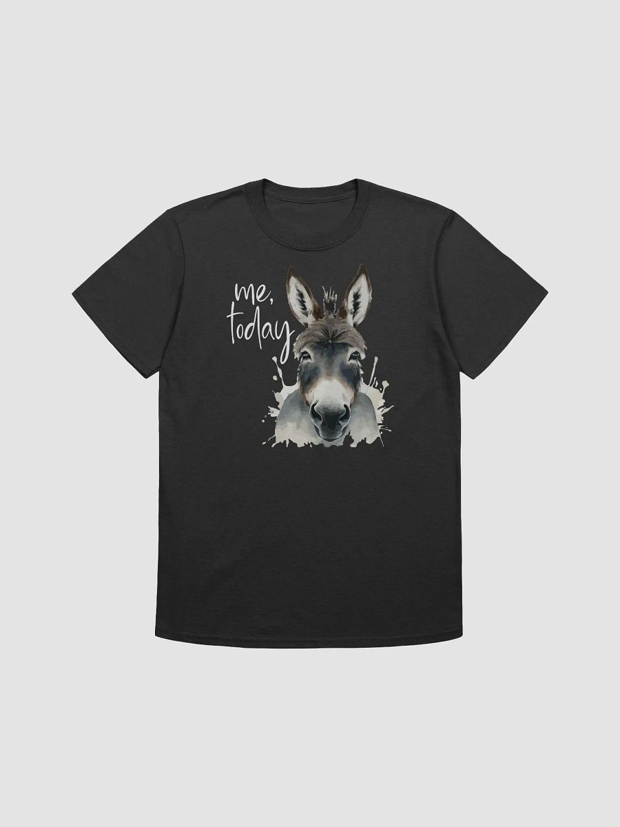 Me, today - Donkey product image (3)