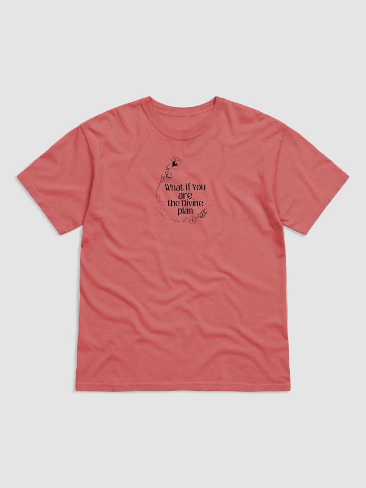 What If You Are The Divine Plan - Unisex Tee product image (25)