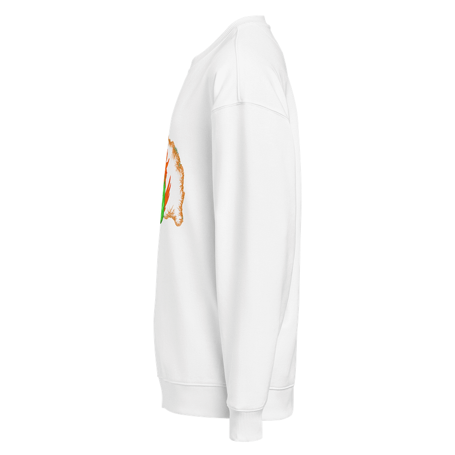 Dragon's Breath Organic Oversized Sweatshirt product image (3)