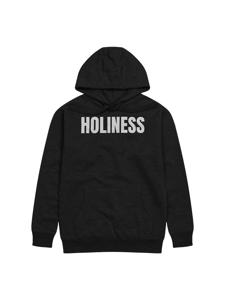 Holiness Premium Hoodie product image (1)
