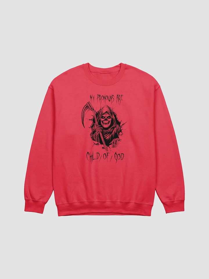 Pronouns sweatshirt product image (4)