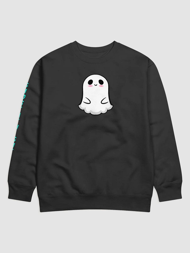 Sweatshirt product image (1)