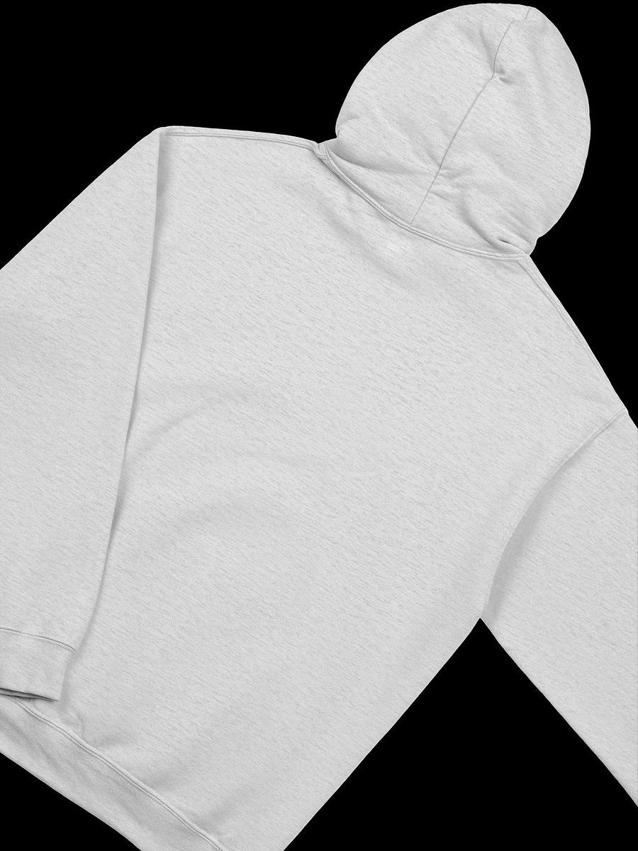BA$IC Meltdown Hoodie product image (4)