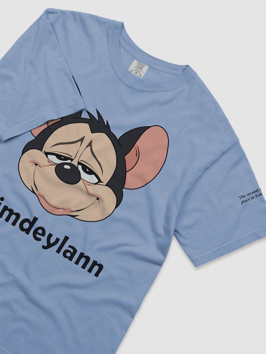 Dimdeylann Heavyweight Tee product image (28)