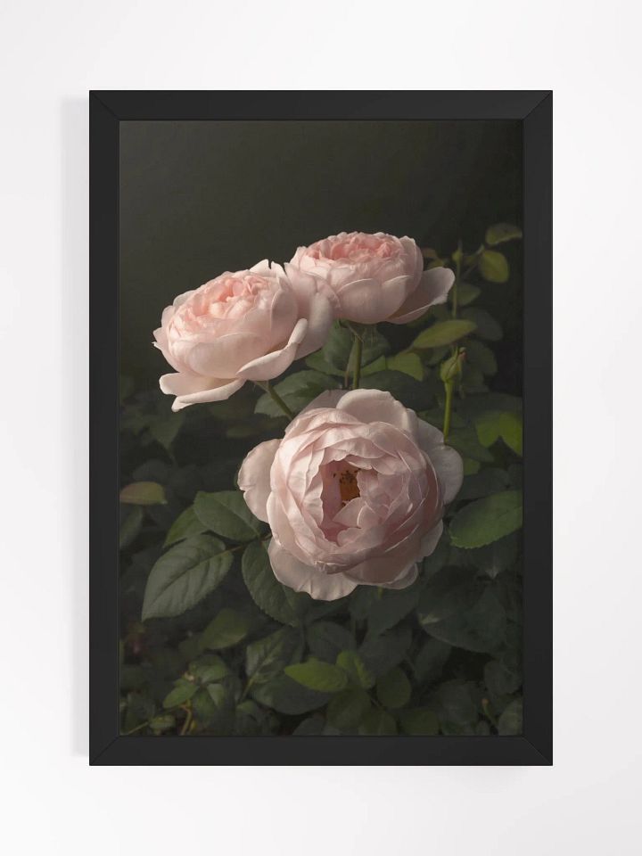 Trio of Roses product image (1)