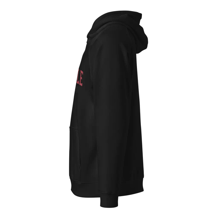 Man Washington Seattle SOL'S Unisex Eco Raglan Hoodie product image (2)