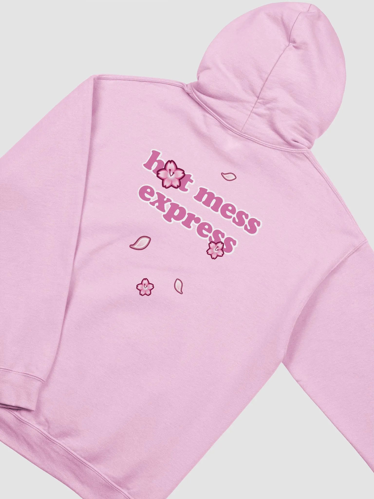 THE HOT MESS EXPRESS | HOODIE product image (4)