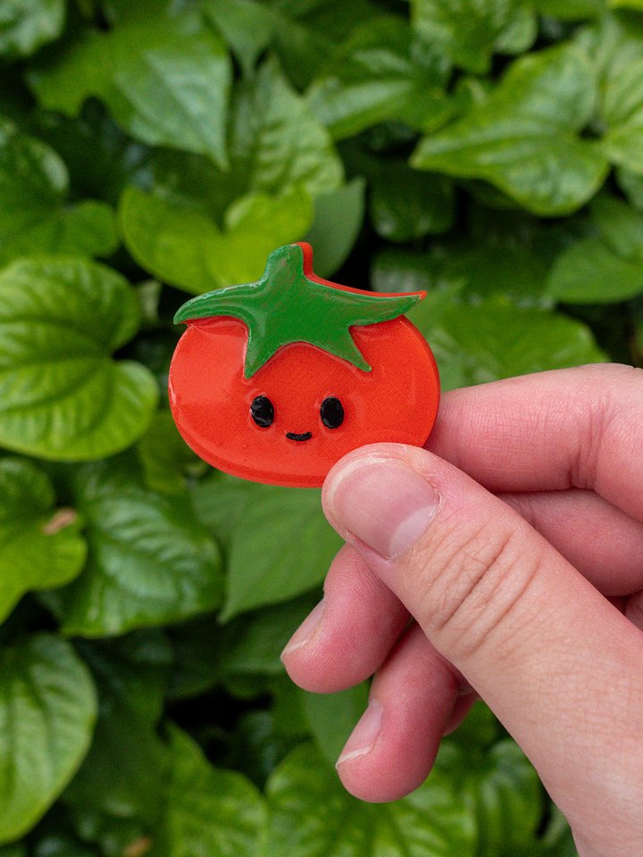 Tomato magnet product image (1)