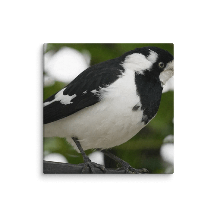 Bird Canvas product image (2)