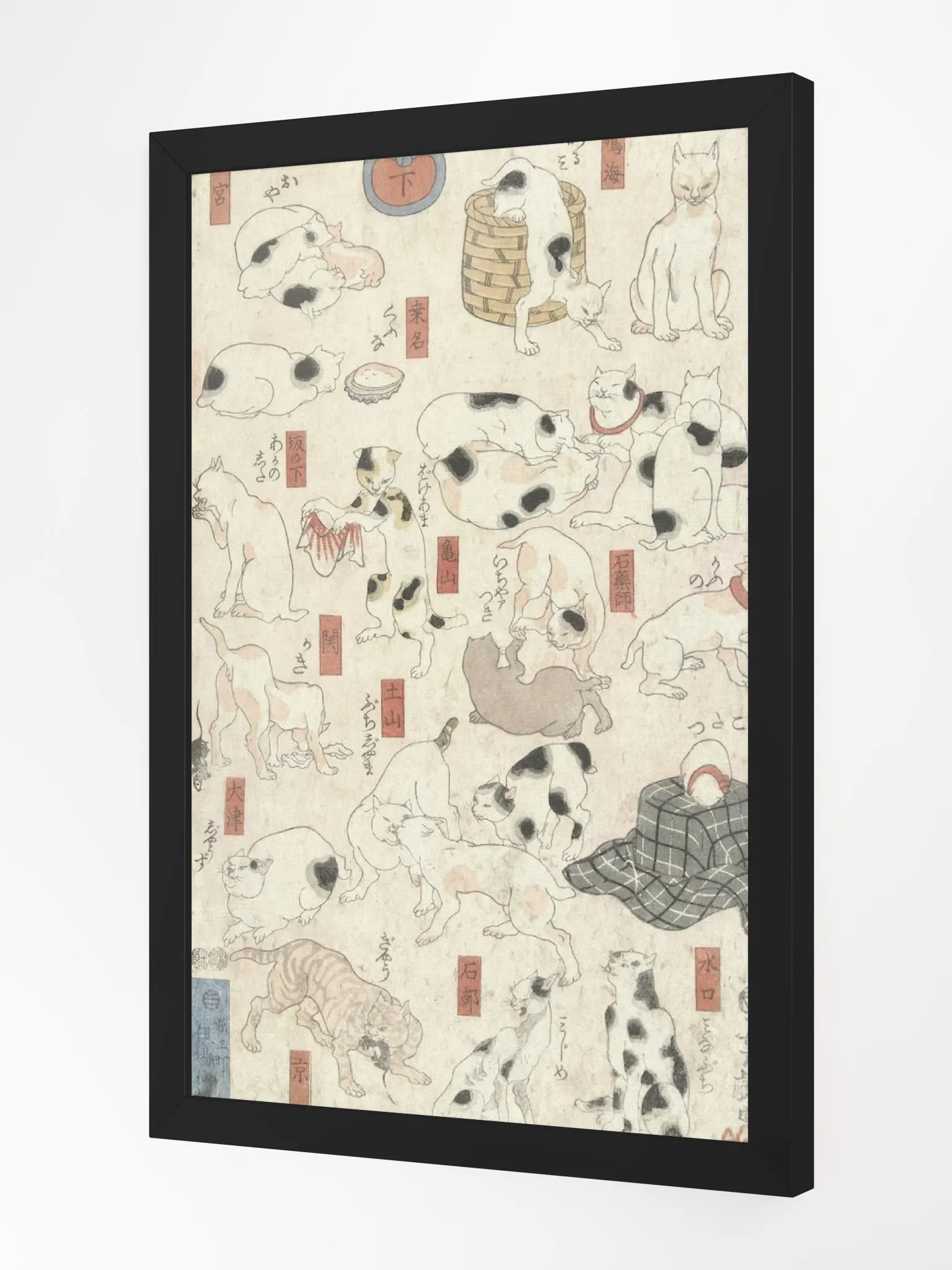 Cats product image (4)