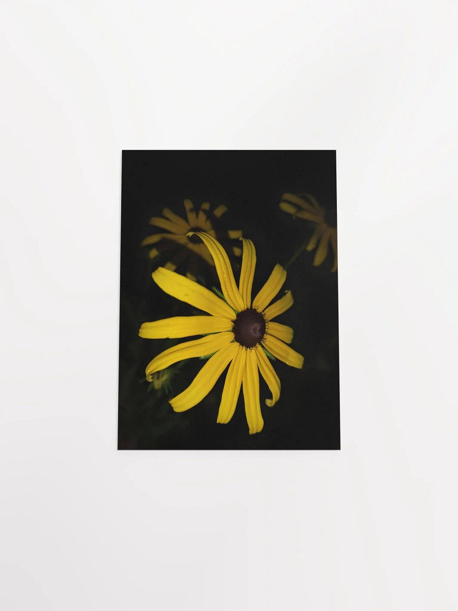 Black-Eyed Susan (Print) product image (37)
