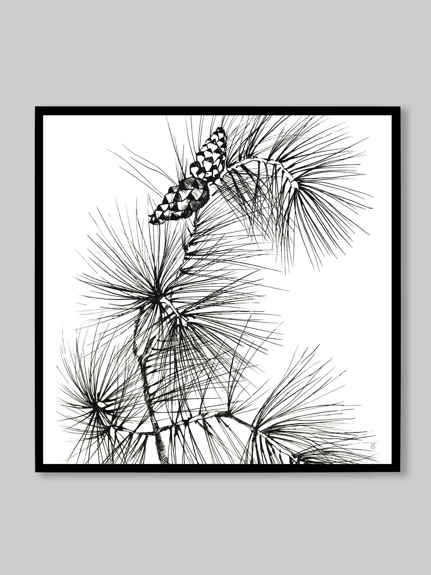 Blank Canvas: Unleash Your Artistic Vision - Pine Branch and Cones product image (104)