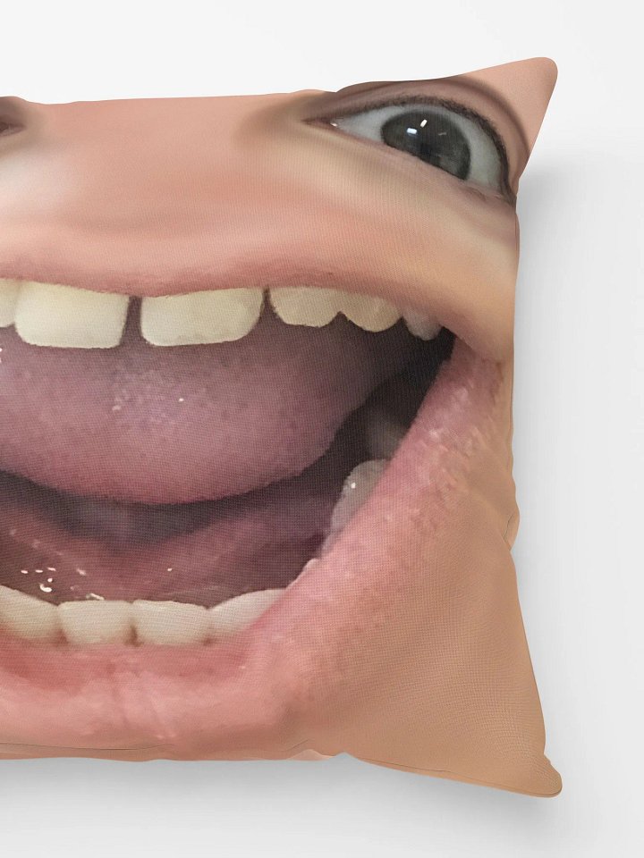 fraserDerp Pillow product image (2)