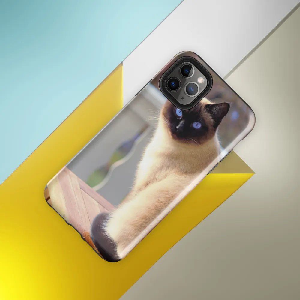 Cat on Front Porch Phone Case for Feline Enthusiasts product image (40)