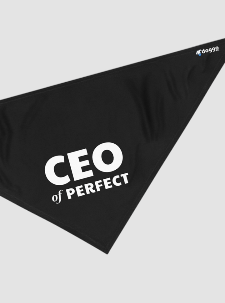 CEO Of Perfect product image (1)