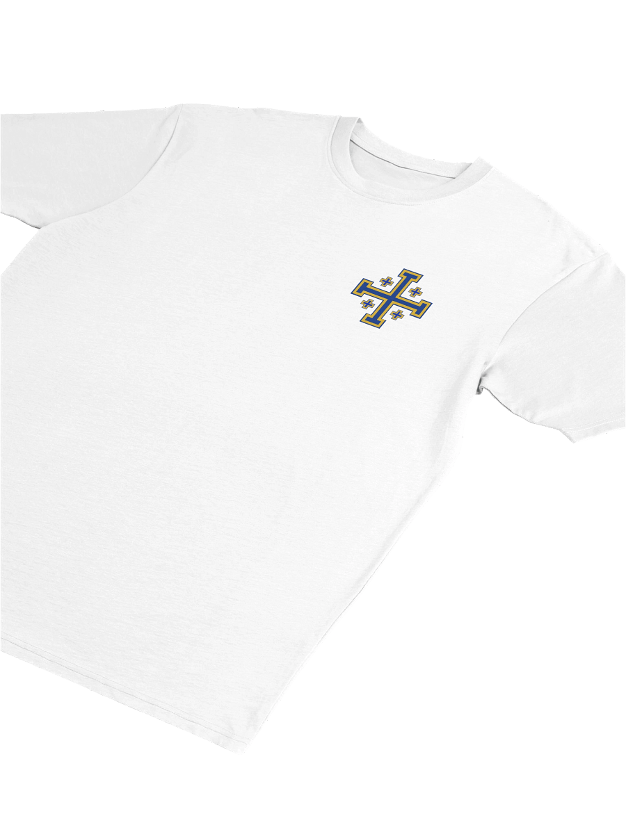 Templar Division Heavy Tee product image (5)