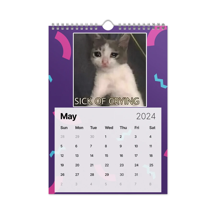 Wall Calendar (2024): Meme Cats product image (14)