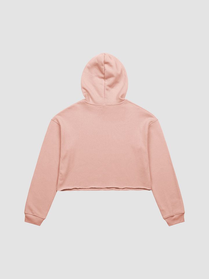 Crop Hoodie - POLO product image (2)