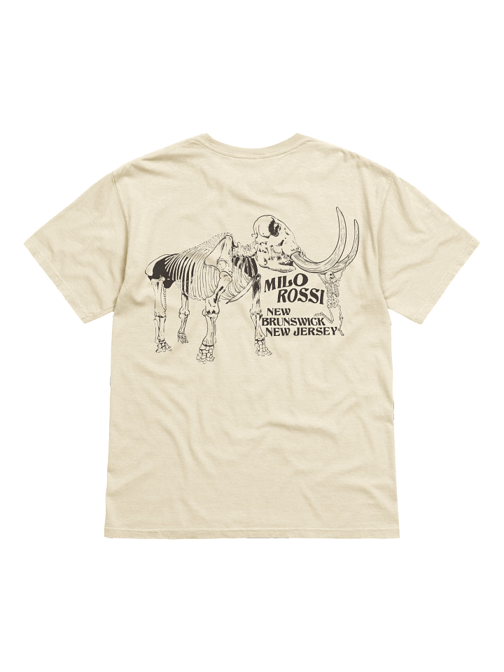 New Brunswick New Jersey product image (1)