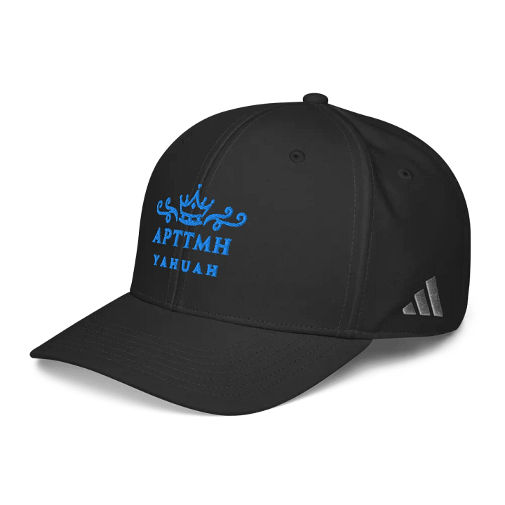 Royal Crown APTTMH Cap product image (9)