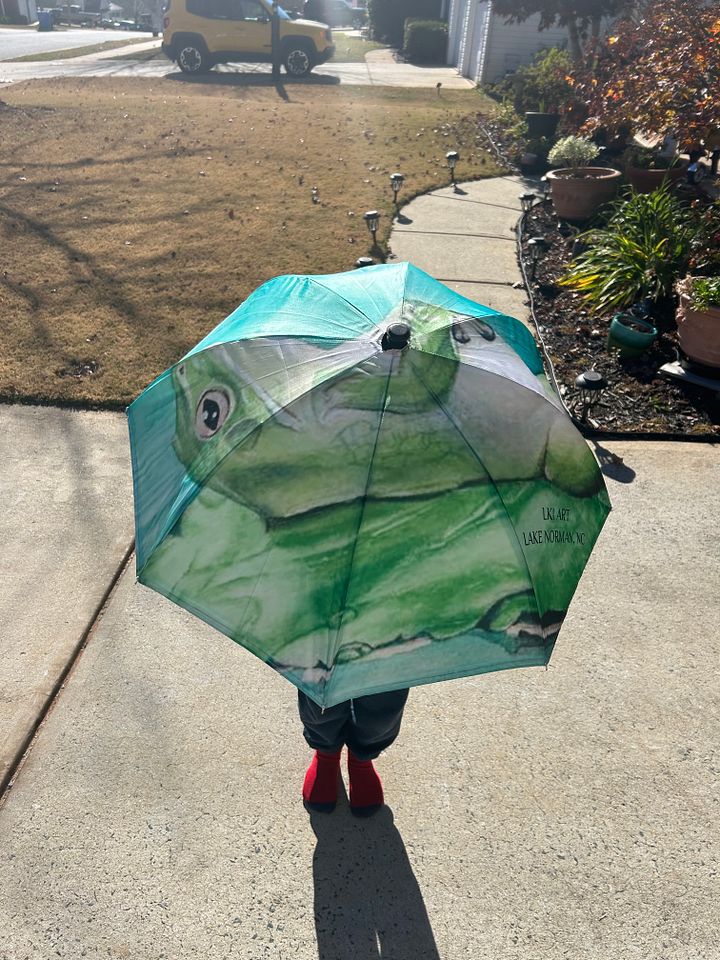 Children’s Umbrella - “Jeremiah” product image (1)