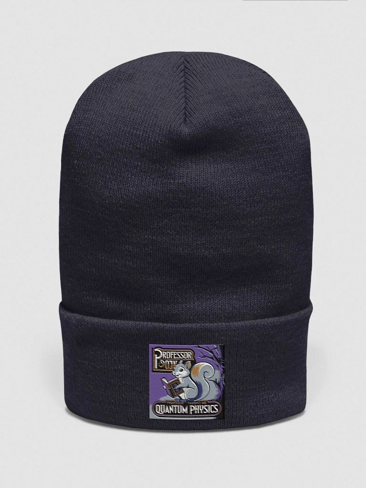 Professor Pooky Taught Me Quantum Physics Beanie product image (1)