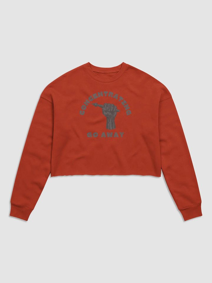 "Concentrating, Go Away" Cropped Sweater product image (1)