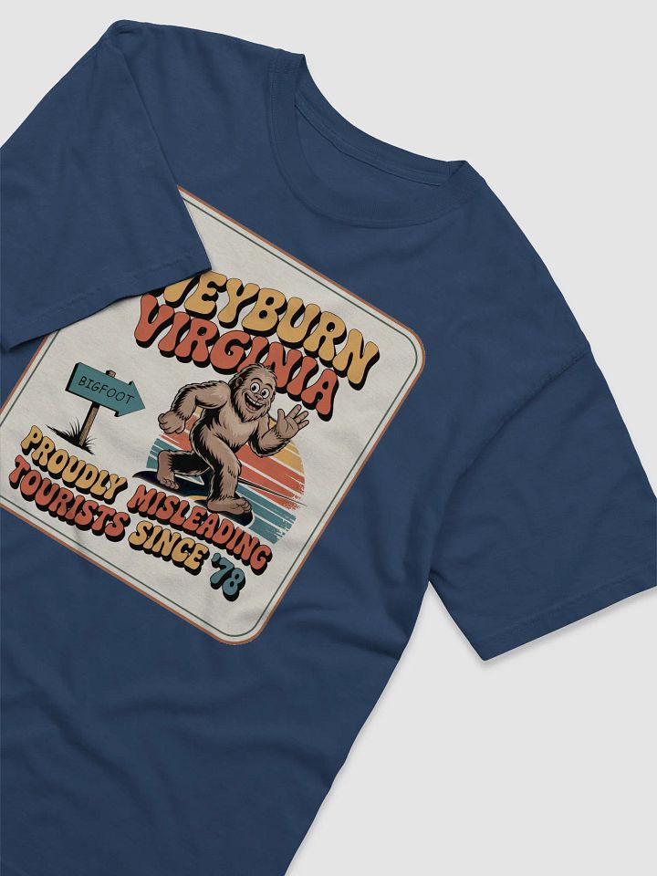 Weyburn Virginia Misleading Tourist Vintage Tee product image (2)