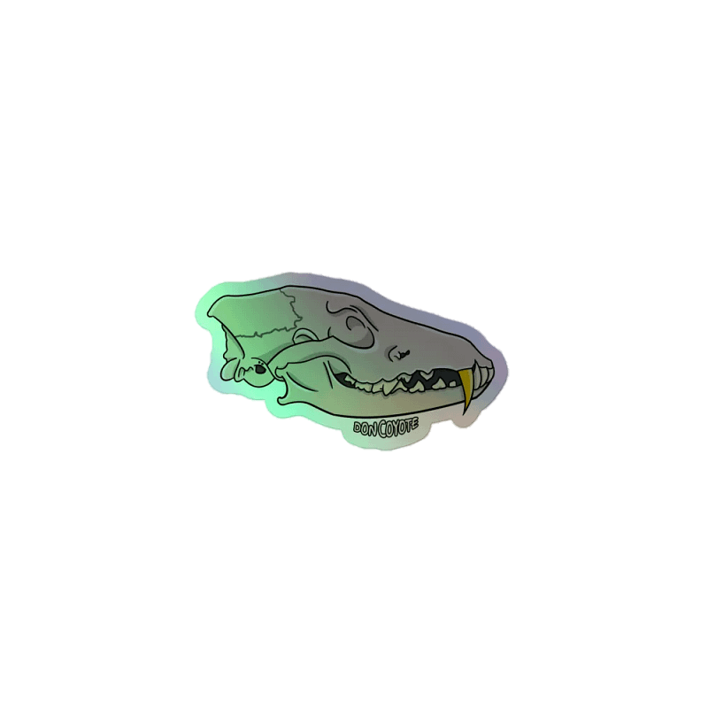 DC SKULL HOLO STICKERS