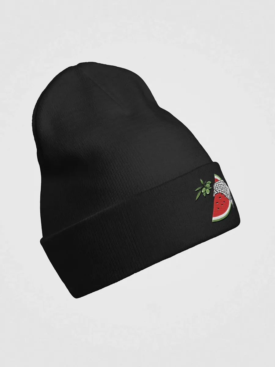 Keffiyeh-Inspired Otto Knit Beanie product image (4)