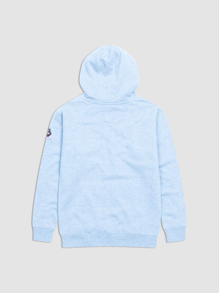 Bully Hoodie Light product image (2)