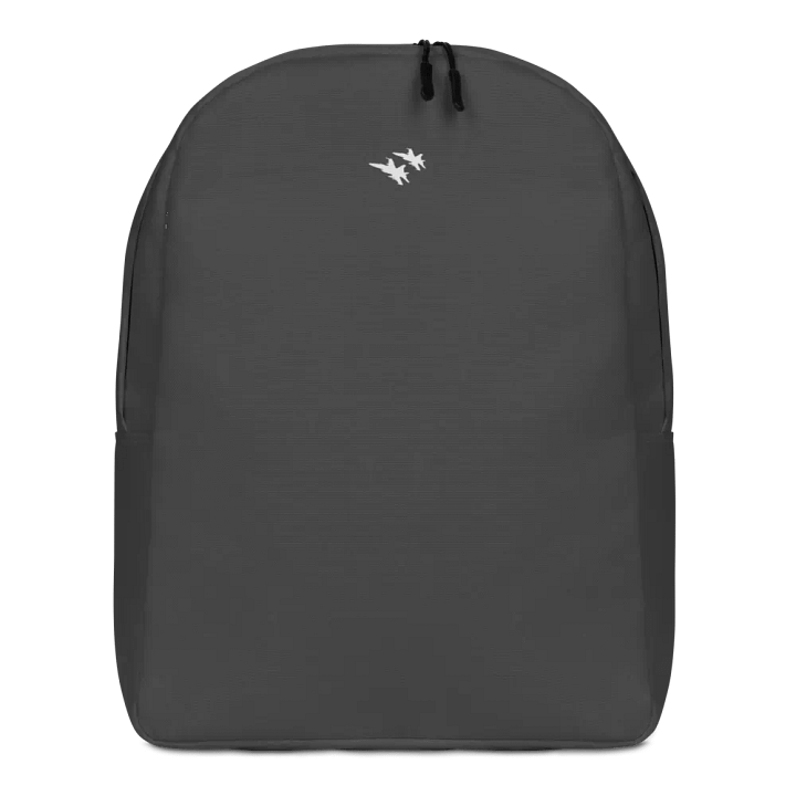 Twin Hornets Logo Backpack, Gray product image (2)
