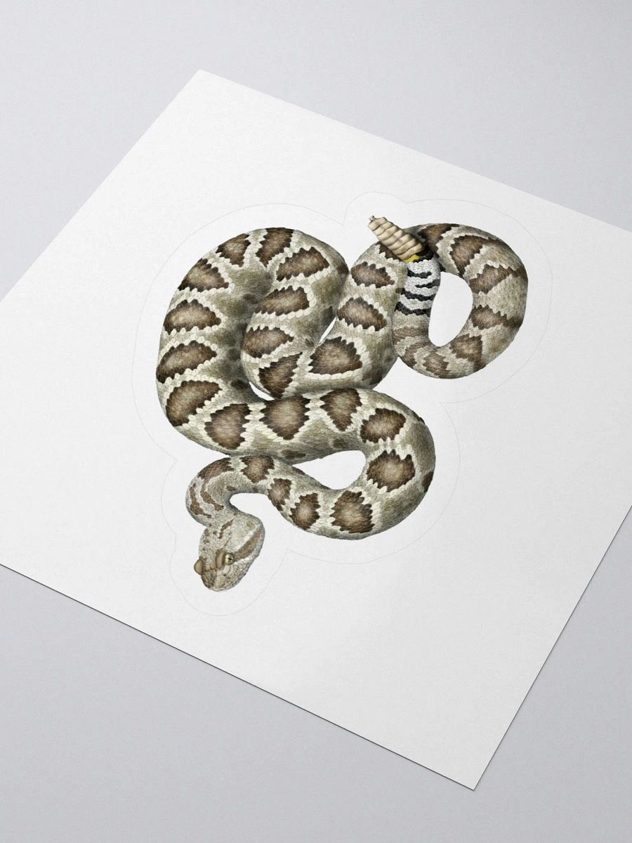 Die-Cut Sticker – Mojave Rattlesnake product image (3)