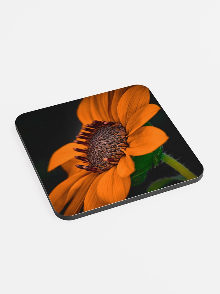 Orange You Glad Coaster product image (2)